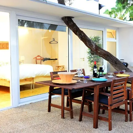 Sorondongo & Garden プエルト・デル・カルメン