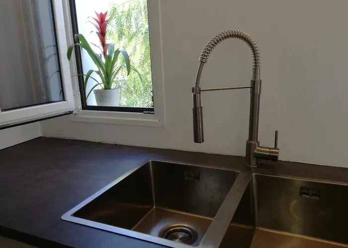 Sorondongo & Garden *