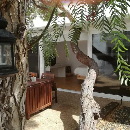 Sorondongo & Garden * Puerto del Carmen (Lanzarote)